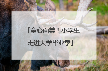 童心向美！小学生走进大学毕业季