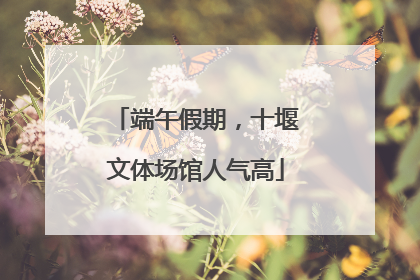 端午假期，十堰文体场馆人气高