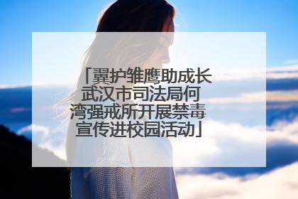 翼护雏鹰助成长 武汉市司法局何湾强戒所开展禁毒宣传进校园活动