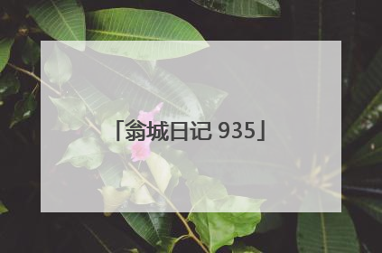 翁城日记 935