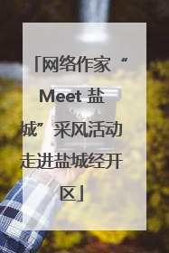 网络作家“Meet 盐城”采风活动走进盐城经开区