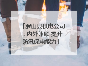 罗山县供电公司：内外兼顾 提升防汛保电能力