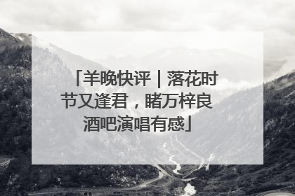 羊晚快评｜落花时节又逢君，睹万梓良酒吧演唱有感