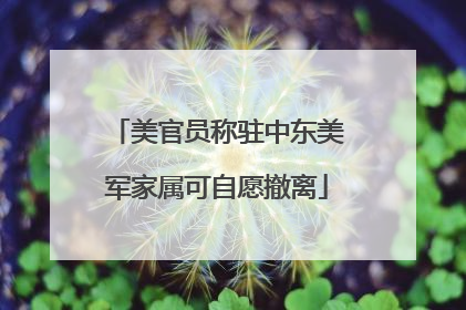 美官员称驻中东美军家属可自愿撤离