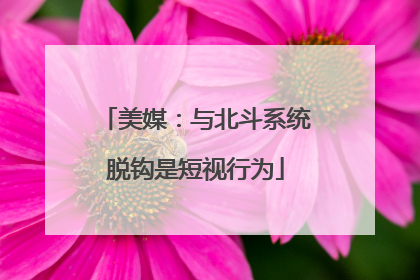 美媒：与北斗系统脱钩是短视行为