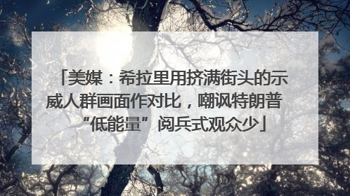 美媒：希拉里用挤满街头的示威人群画面作对比，嘲讽特朗普“低能量”阅兵式观众少
