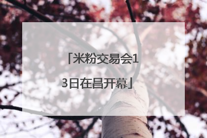 米粉交易会13日在昌开幕
