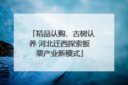 精品认购、古树认养 河北迁西探索板栗产业新模式