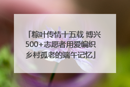 粽叶传情十五载 博兴500+志愿者用爱编织乡村孤老的端午记忆
