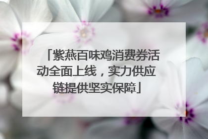 紫燕百味鸡消费券活动全面上线，实力供应链提供坚实保障
