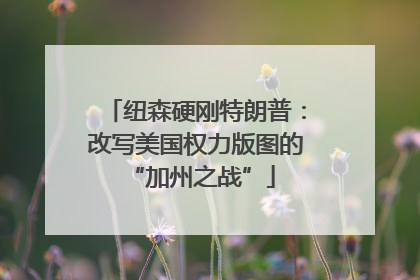 纽森硬刚特朗普：改写美国权力版图的 “加州之战”