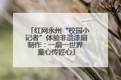 红网永州“校园小记者”体验非遗漆扇制作：一扇一世界 童心传匠心