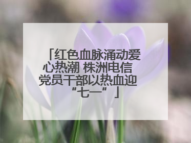 红色血脉涌动爱心热潮 株洲电信党员干部以热血迎“七一”