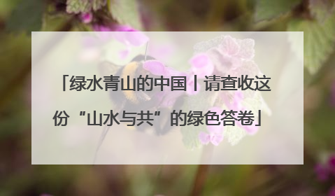 绿水青山的中国丨请查收这份“山水与共”的绿色答卷