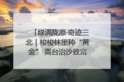 绿满陇原·奇迹三北｜梭梭林里种“黄金” 高台治沙致富很“从容”