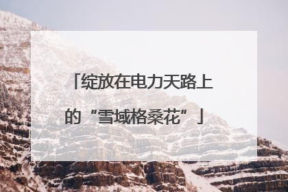 绽放在电力天路上的“雪域格桑花”