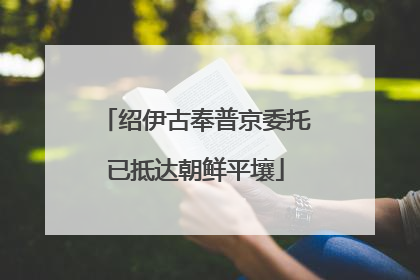 绍伊古奉普京委托已抵达朝鲜平壤
