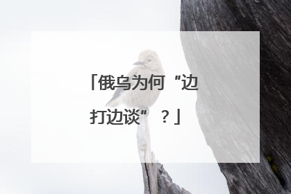 俄乌为何“边打边谈”？