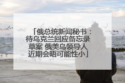 俄总统新闻秘书：待乌克兰回应备忘录草案 俄美乌领导人近期会晤可能性小