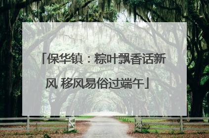 保华镇：粽叶飘香话新风 移风易俗过端午