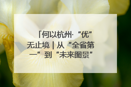 何以杭州·“优”无止境｜从“全省第一”到“未来图景” 余杭加速航行