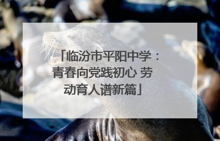 临汾市平阳中学：青春向党践初心 劳动育人谱新篇