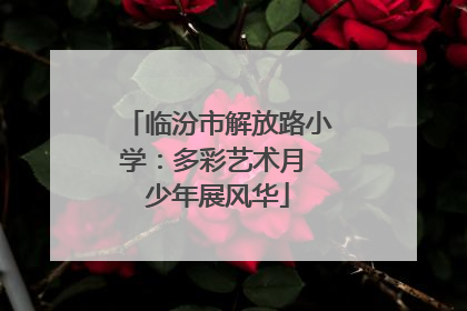 临汾市解放路小学：多彩艺术月 少年展风华