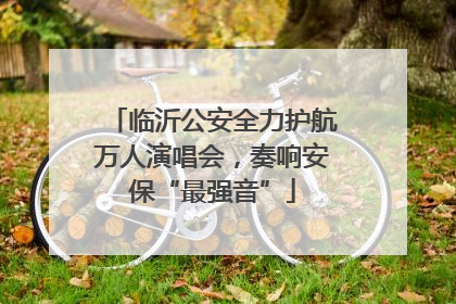 临沂公安全力护航万人演唱会，奏响安保“最强音”