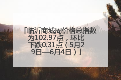 临沂商城周价格总指数为102.97点，环比下跌0.31点（5月29日—6月4日）