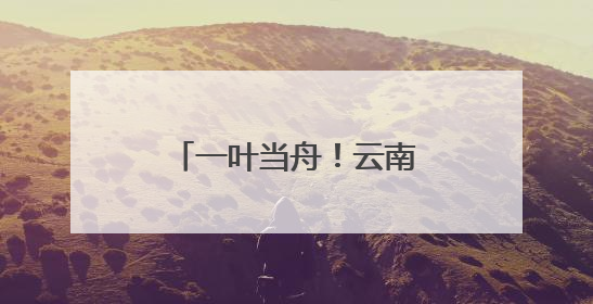 一叶当舟！云南这种神奇植物进入最佳观赏期