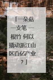 一朵菇 一支笔 一根竹 何以撬动浙江山区百亿产业？