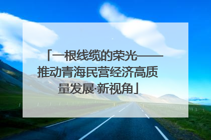 一根线缆的荣光——推动青海民营经济高质量发展·新视角