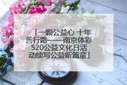 一颗公益心 十年善行路——南京体彩520公益文化日活动续写公益新篇章