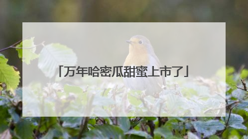 万年哈密瓜甜蜜上市了
