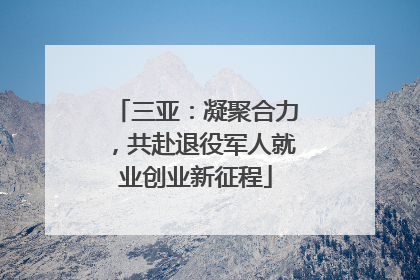 三亚：凝聚合力，共赴退役军人就业创业新征程