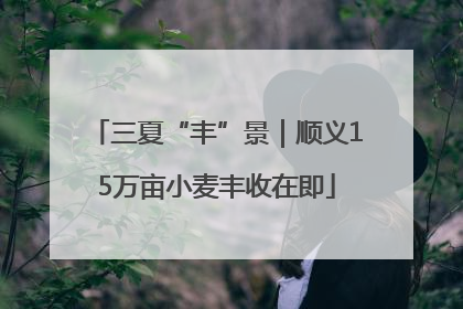 三夏“丰”景｜顺义15万亩小麦丰收在即