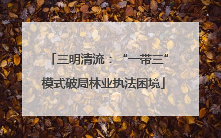 三明清流：“一带三”模式破局林业执法困境