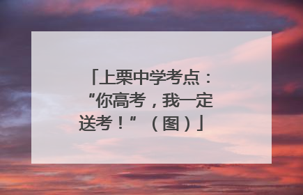上栗中学考点：“你高考，我一定送考！”（图）