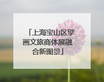 上海宝山区擘画文旅商体展融合新图景