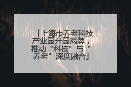 上海市养老科技产业园开园揭牌，推动“科技”与“养老”深度融合