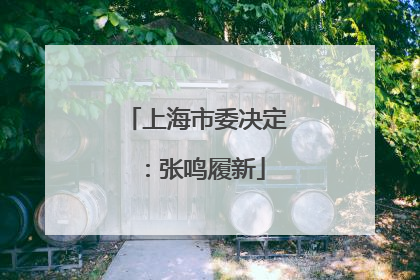上海市委决定：张鸣履新