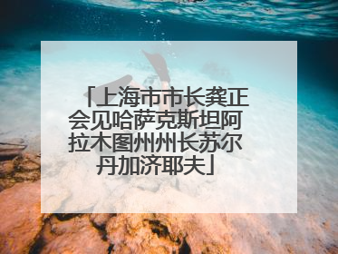 上海市市长龚正会见哈萨克斯坦阿拉木图州州长苏尔丹加济耶夫