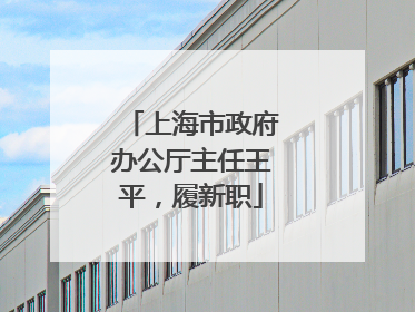 上海市政府办公厅主任王平，履新职