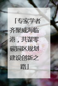 专家学者齐聚威海临港，共谋零碳园区规划建设创新之路