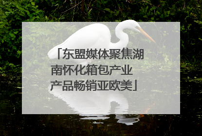 东盟媒体聚焦湖南怀化箱包产业 产品畅销亚欧美