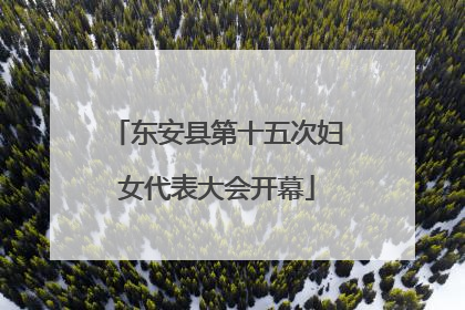 东安县第十五次妇女代表大会开幕