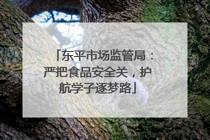 东平市场监管局：严把食品安全关，护航学子逐梦路