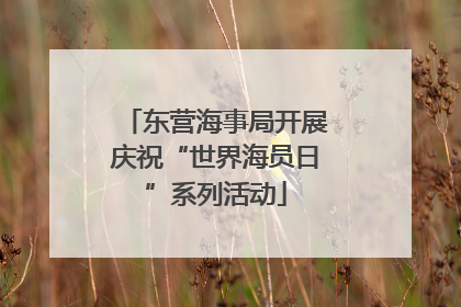 东营海事局开展庆祝“世界海员日”系列活动