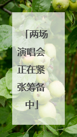 两场演唱会正在紧张筹备中