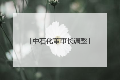 中石化董事长调整